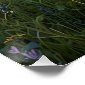 Feld "Wildblumen" Poster (Ecke)
