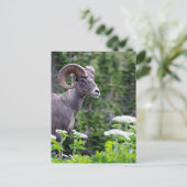 Feldantrieb Postkarte (Stehend Vorderseite)