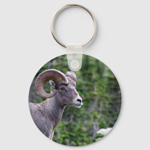 Feldantrieb Schlüsselanhänger