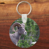 Feldantrieb Schlüsselanhänger (Vorderseite)