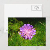 Feldbegabte Postkarte (Vorne/Hinten)