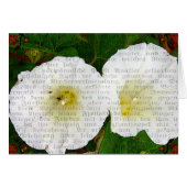 Feldbindung (Vorderseite (Horizontal))