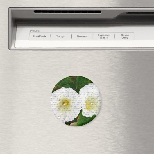 Feldbindung Magnet (In Situ (Geschirrspüler))