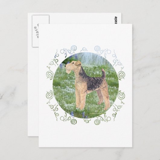 FeldBlume Postkarte (Vorne/Hinten)