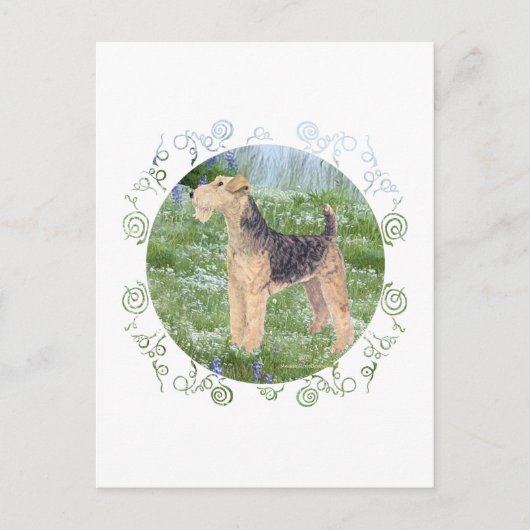 FeldBlume Postkarte (Vorderseite)