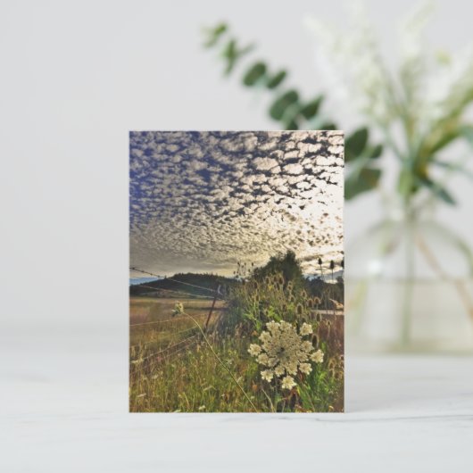 FeldBlume Postkarte (Stehend Vorderseite)