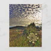 FeldBlume Postkarte (Vorderseite)