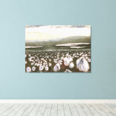 Felder arktischer Baumwolle: Canvas drucken nicht Leinwanddruck (Insitu (Holzboden))