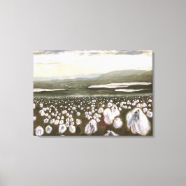 Felder arktischer Baumwolle: Canvas drucken nicht  Leinwanddruck