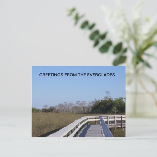 FELDER DER EVERGLADES POSTKARTE (Stehend Vorderseite)