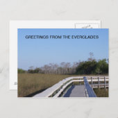 FELDER DER EVERGLADES POSTKARTE (Vorne/Hinten)