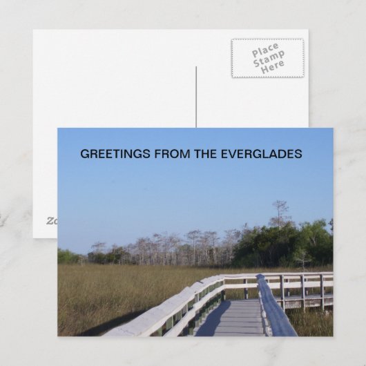 FELDER DER EVERGLADES POSTKARTE (Vorne/Hinten)