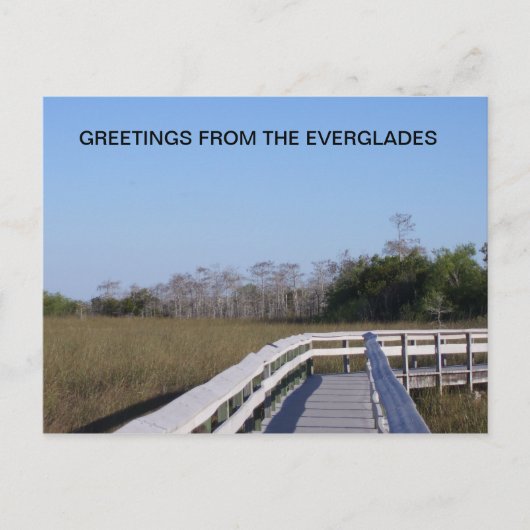 FELDER DER EVERGLADES POSTKARTE (Vorderseite)