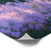 Felder der Lavendel Träume Poster (Ecke)