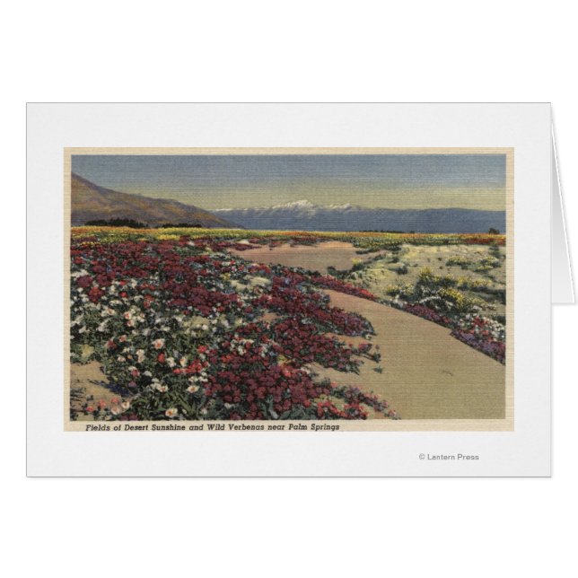 Felder der Wüste Sunshine & Wild Verbenas (Vorderseite (Horizontal))