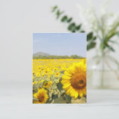 Felder des Goldes Postkarte (Stehend Vorderseite)