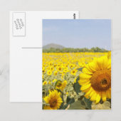 Felder des Goldes Postkarte (Vorne/Hinten)