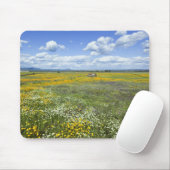 Felder im Frühjahr nahe Guadalupe Mousepad (Mit Mouse)