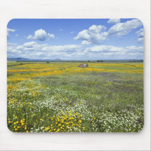 Felder im Frühjahr nahe Guadalupe Mousepad