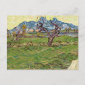 Felder in der Nähe der Alpilles Vincent van Gogh Postkarte (Vorderseite)