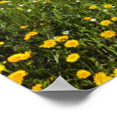 Felder in Springtime bei Guadalupe Poster (Ecke)