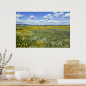 Felder in Springtime bei Guadalupe Poster (Küche)