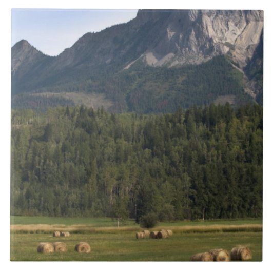 Felder mit geschlagenem Heu, Alberta, Kanada Fliese (Vorderseite)