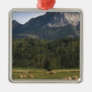 Felder mit geschlagenem Heu, Alberta, Kanada Ornament Aus Metall