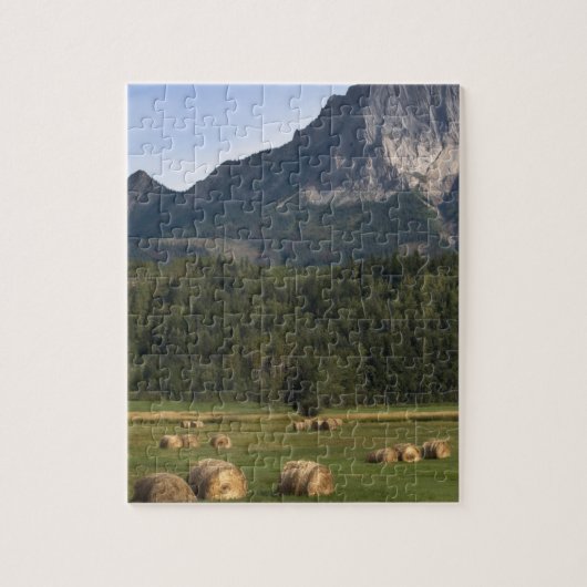 Felder mit geschlagenem Heu, Alberta, Kanada Puzzle (Vertikal)