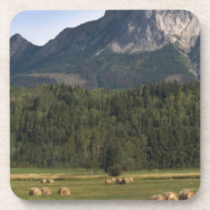 Felder mit geschlagenem Heu, Alberta, Kanada Untersetzer