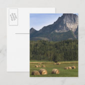 Felder mit Heu, Alberta, Kanada Postkarte (Vorne/Hinten)
