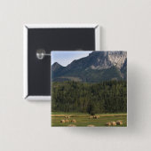 Felder mit Heuballen, Alberta, Kanada Button (Vorne & Hinten)