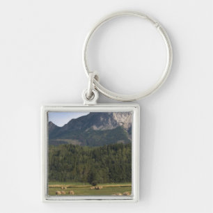 Felder mit Heuballen, Alberta, Kanada Schlüsselanhänger
