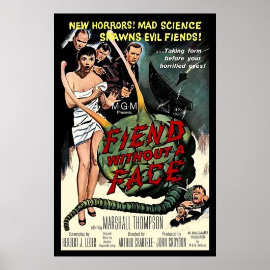 FELDER OHNE GESICHT POSTER (Vorne)