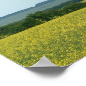 Felder Poster (Ecke)