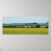 Felder Poster (Vorne)