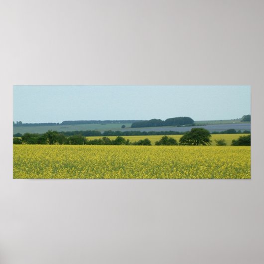 Felder Poster (Vorne)