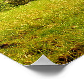 Felder - Poster (Ecke)