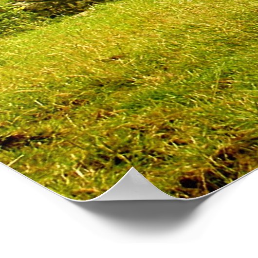 Felder - Poster (Ecke)