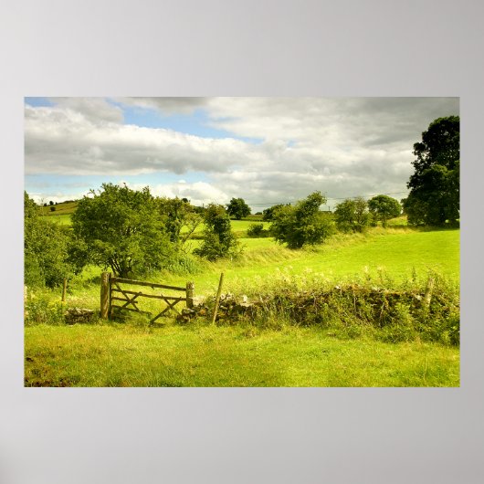 Felder - Poster (Vorne)