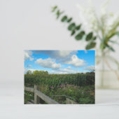 Felder Postkarte (Stehend Vorderseite)