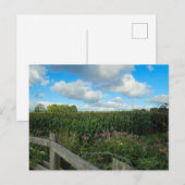 Felder Postkarte (Vorne/Hinten)
