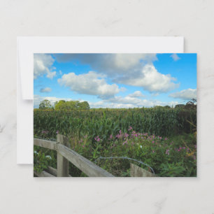 Felder Postkarte