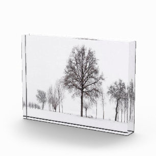 Felder um Skalenghe   Piemont, Italien Fotoblock