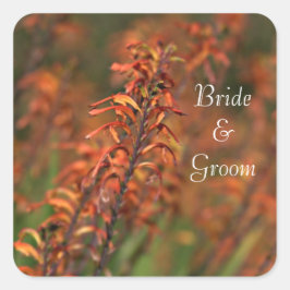 Felder von Orange Agave Bride and Groom Quadratischer Aufkleber