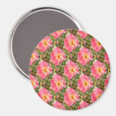 Felder von Rose.... Magnet (Vorderseite/Rückseite)