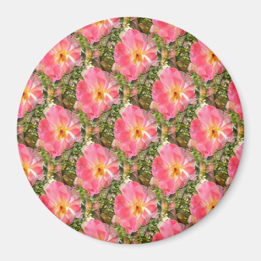 Felder von Rose.... Magnet (Vorne)
