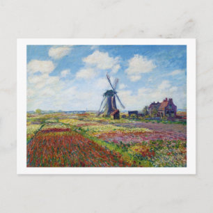 Felder von Tulip mit dem Windmühle Monet Rijnsburg Postkarte