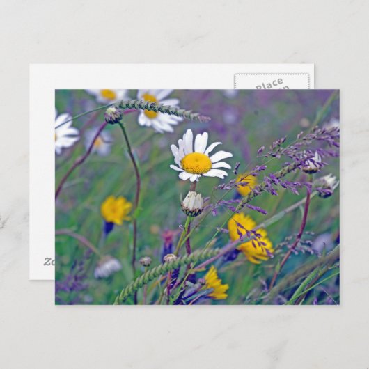 Feldforschung Postkarte (Vorne/Hinten)