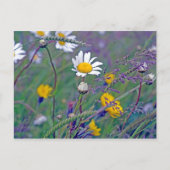 Feldforschung Postkarte (Vorderseite)